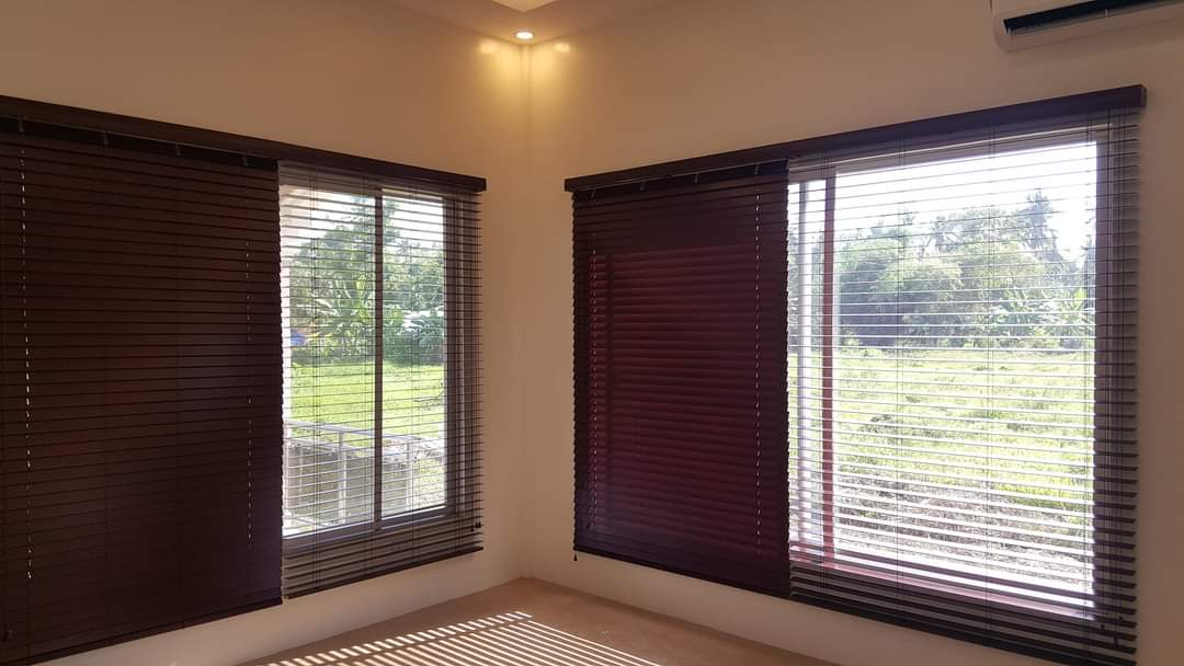 Basswood Mahogany View